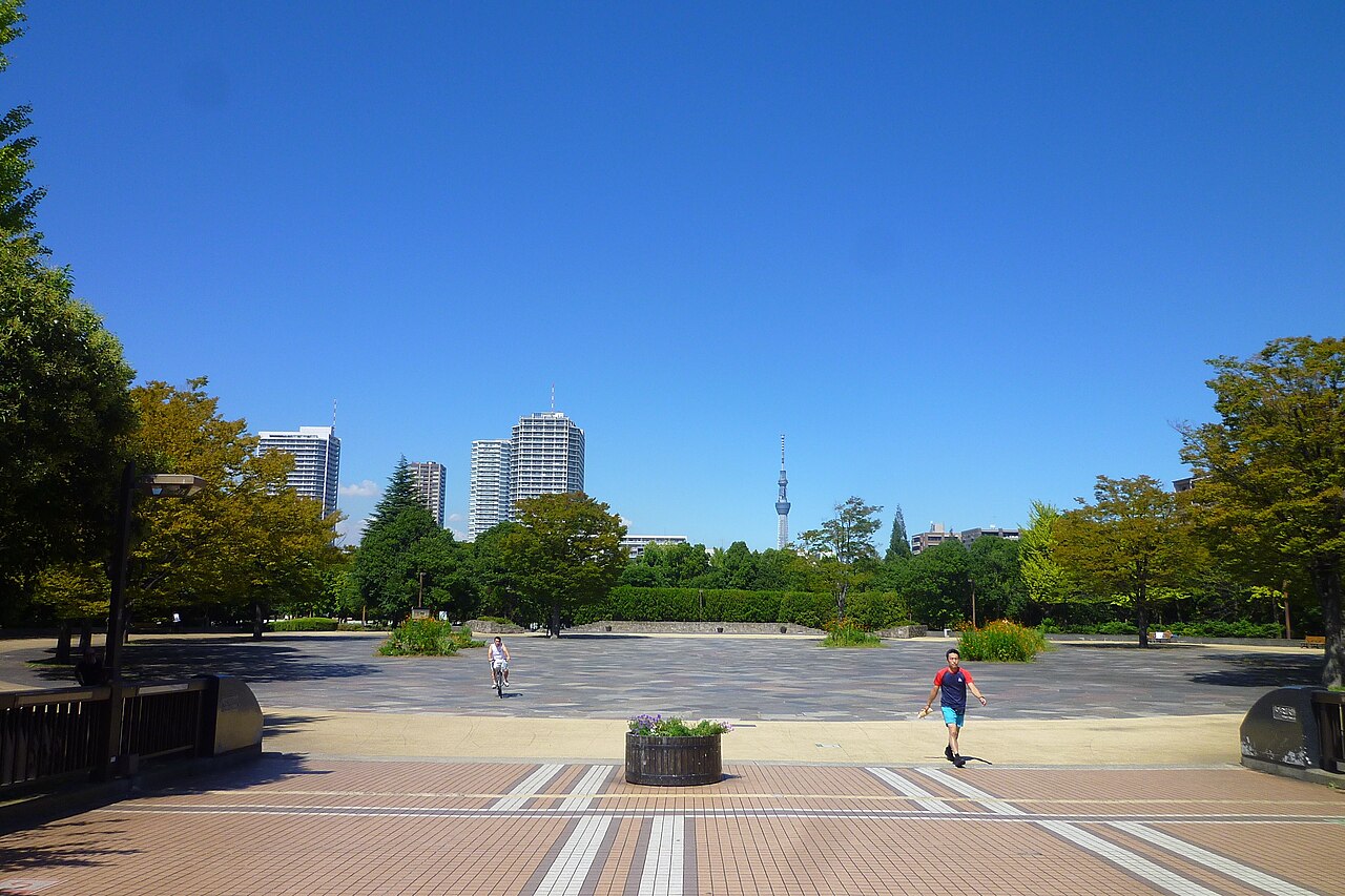 木場公園の写真