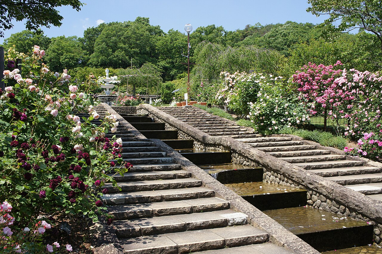 北山緑化植物園の写真