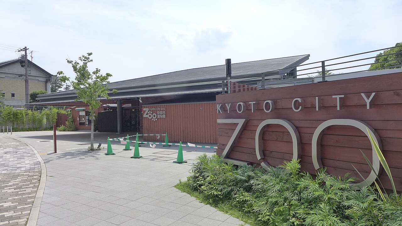京都市動物園の写真