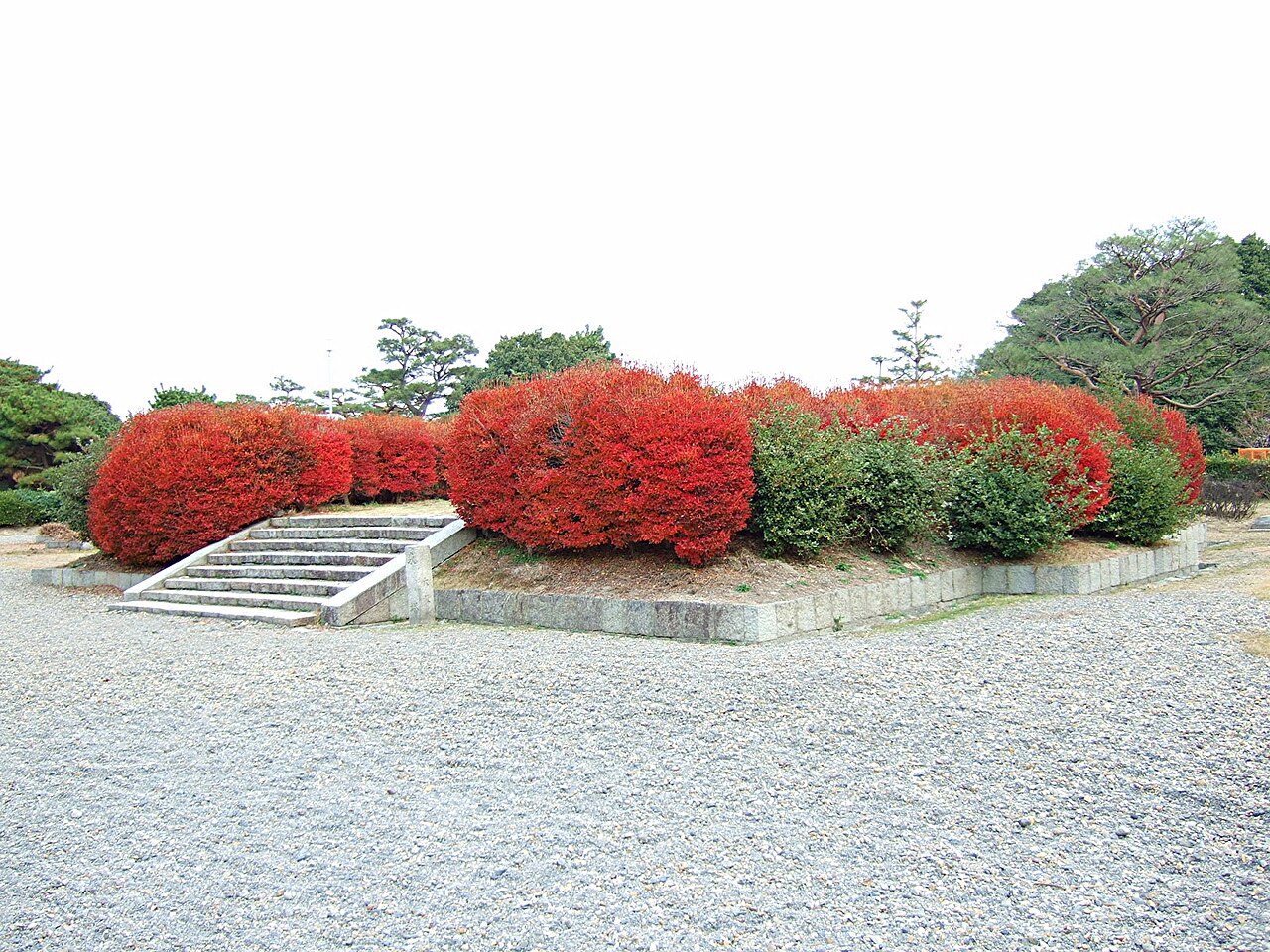 百済寺の写真