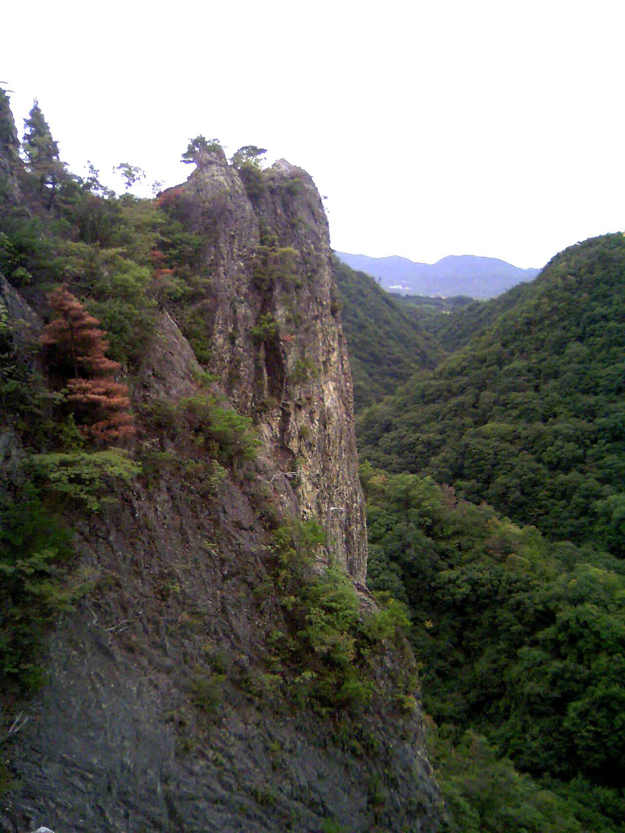 Kamakura Valleyの写真