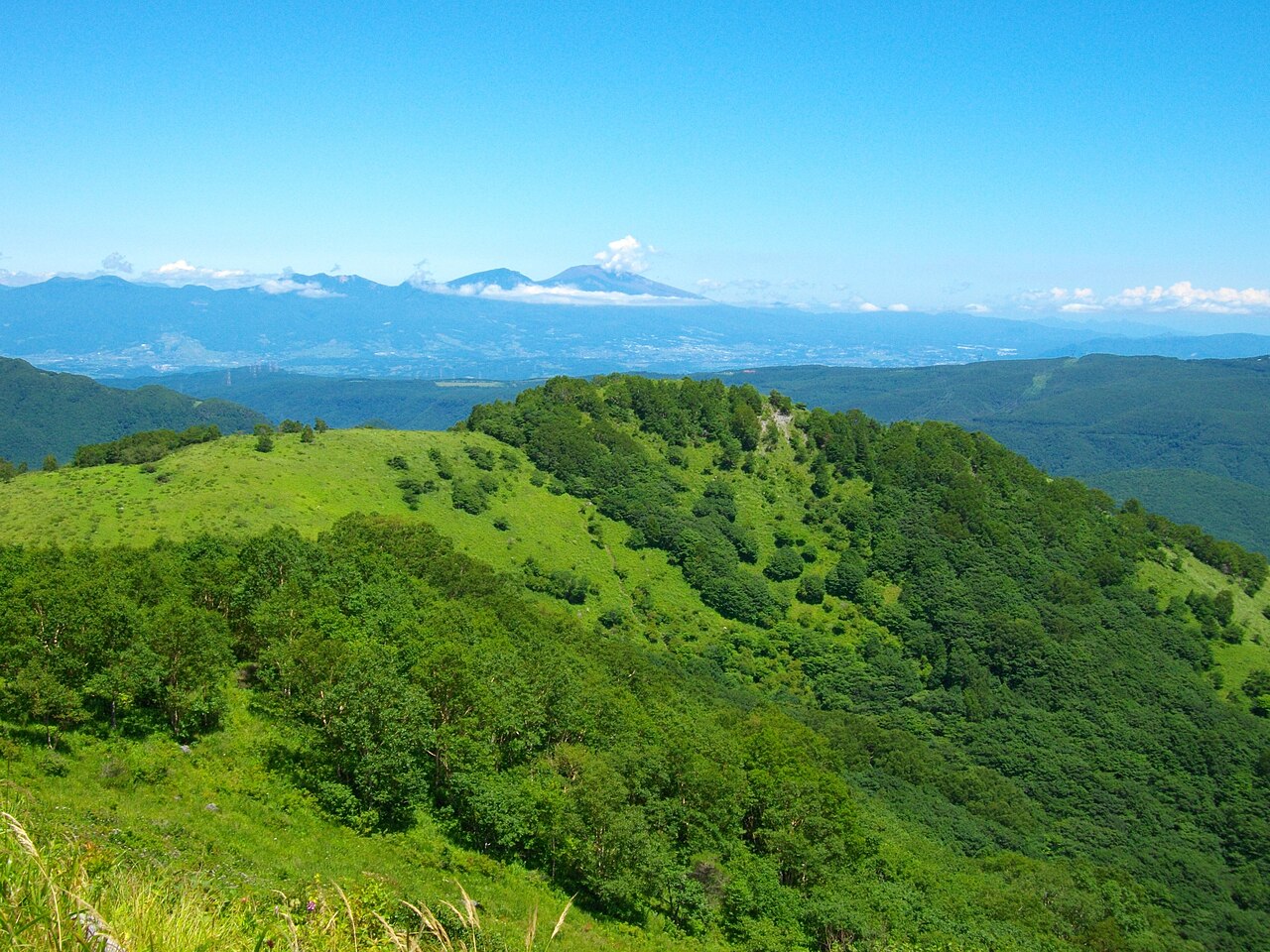 殿城山の写真
