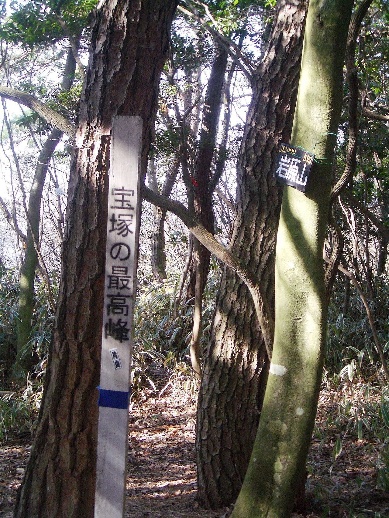 岩原山の写真
