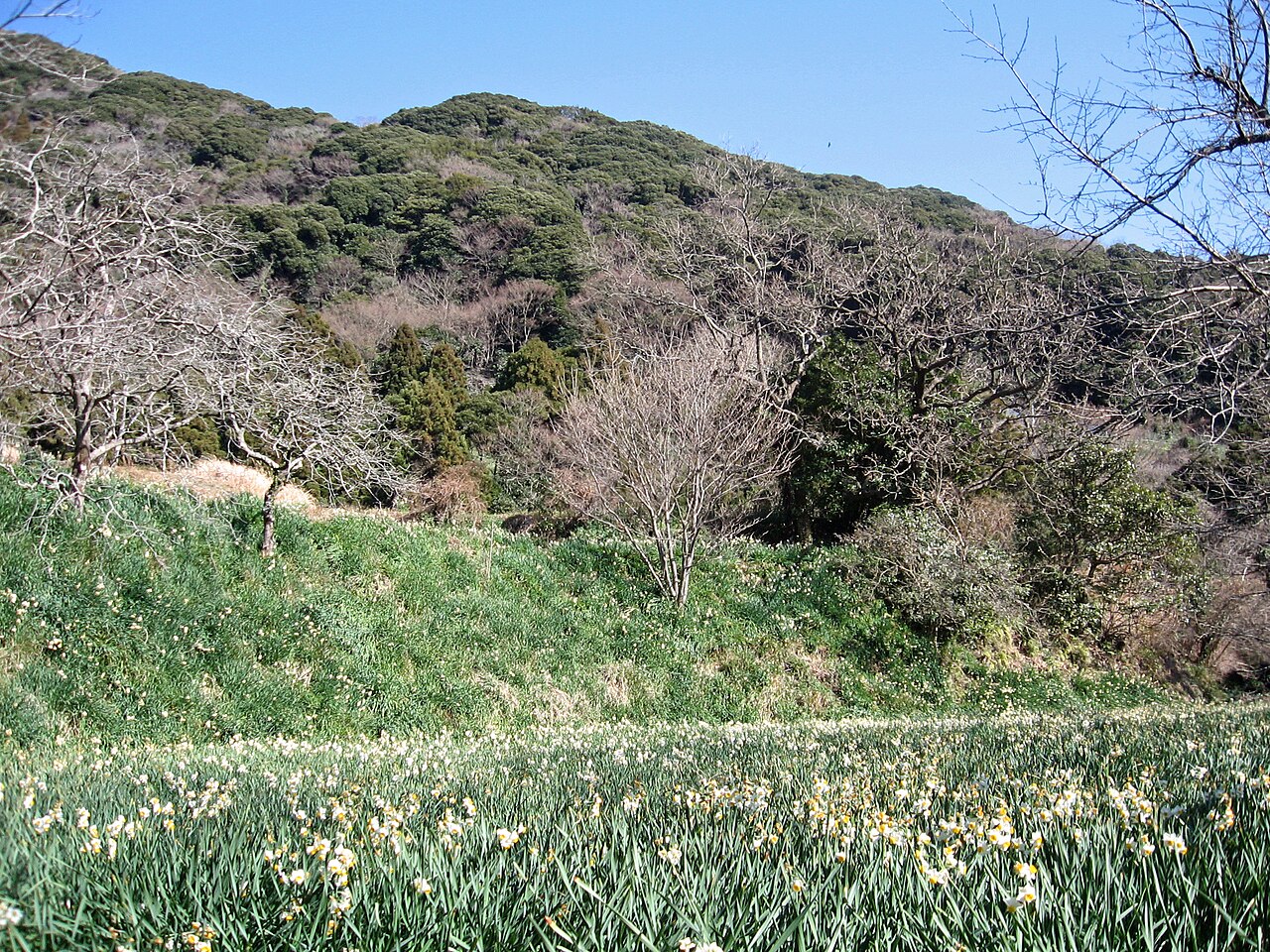 嵯峨山 (千葉県)の写真