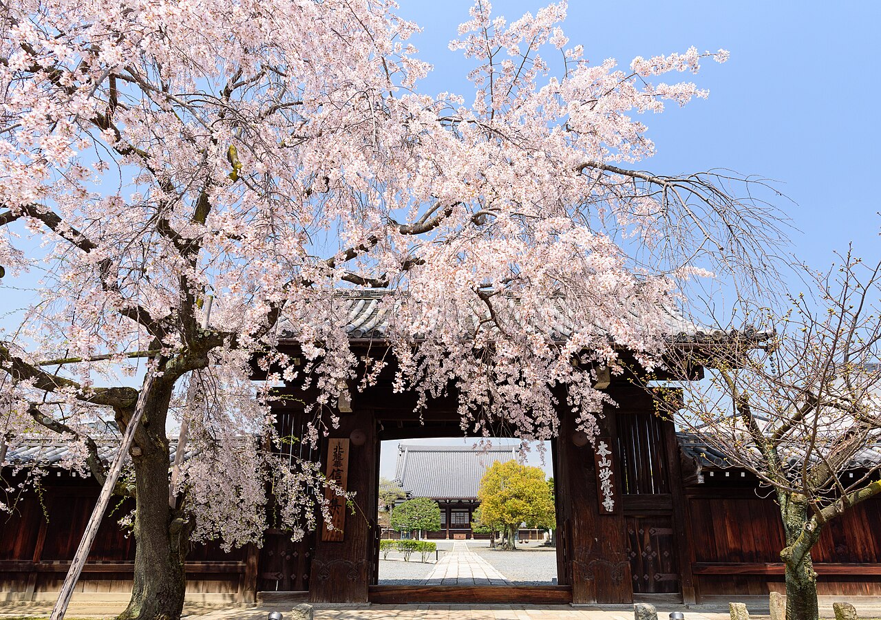 妙覚寺 (京都市)の写真