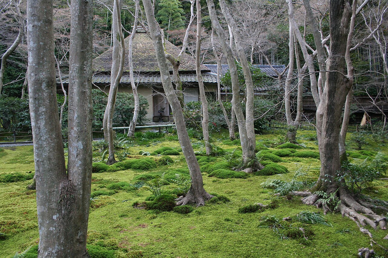 祇王寺の写真