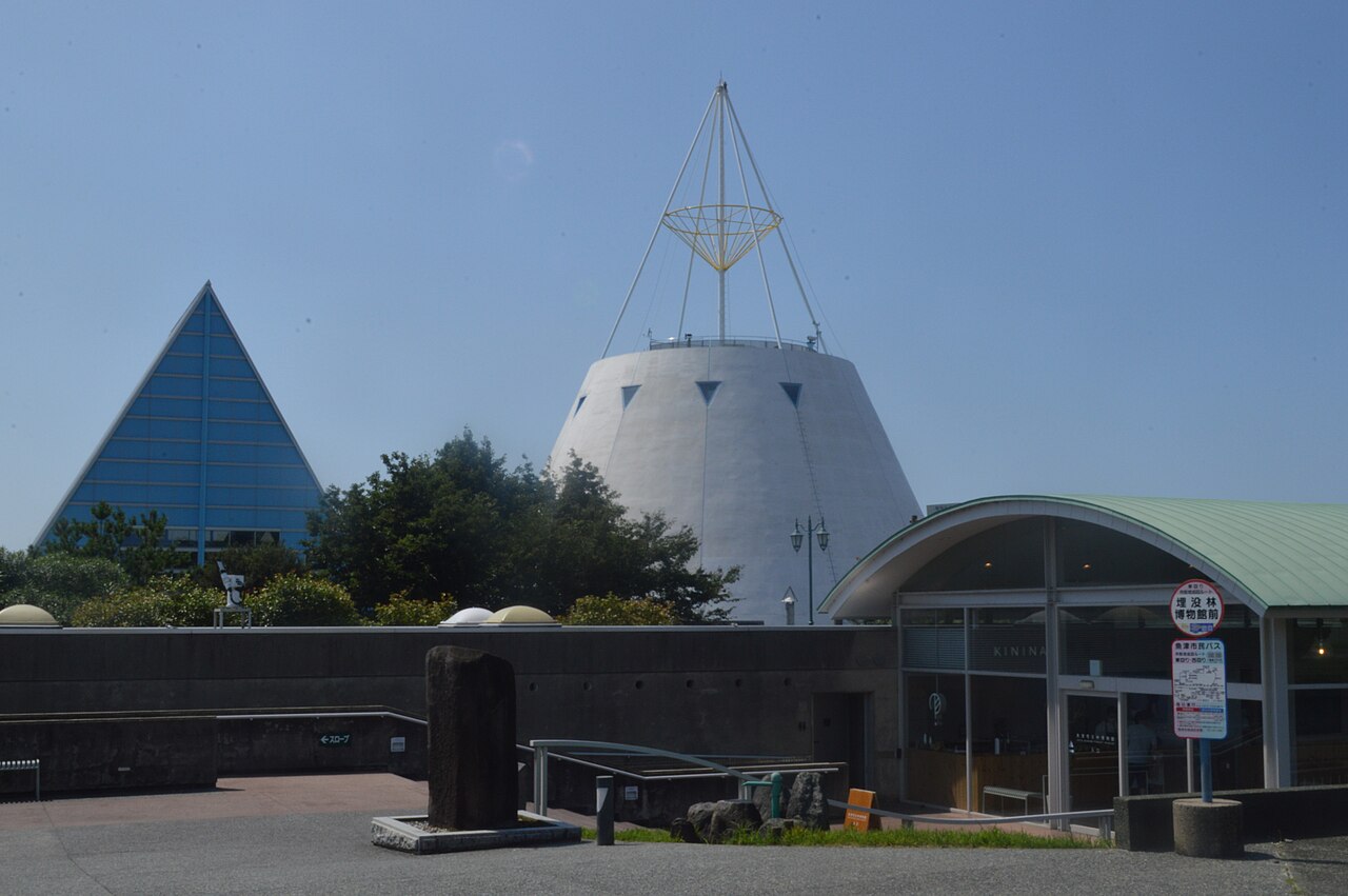魚津埋没林博物館の写真