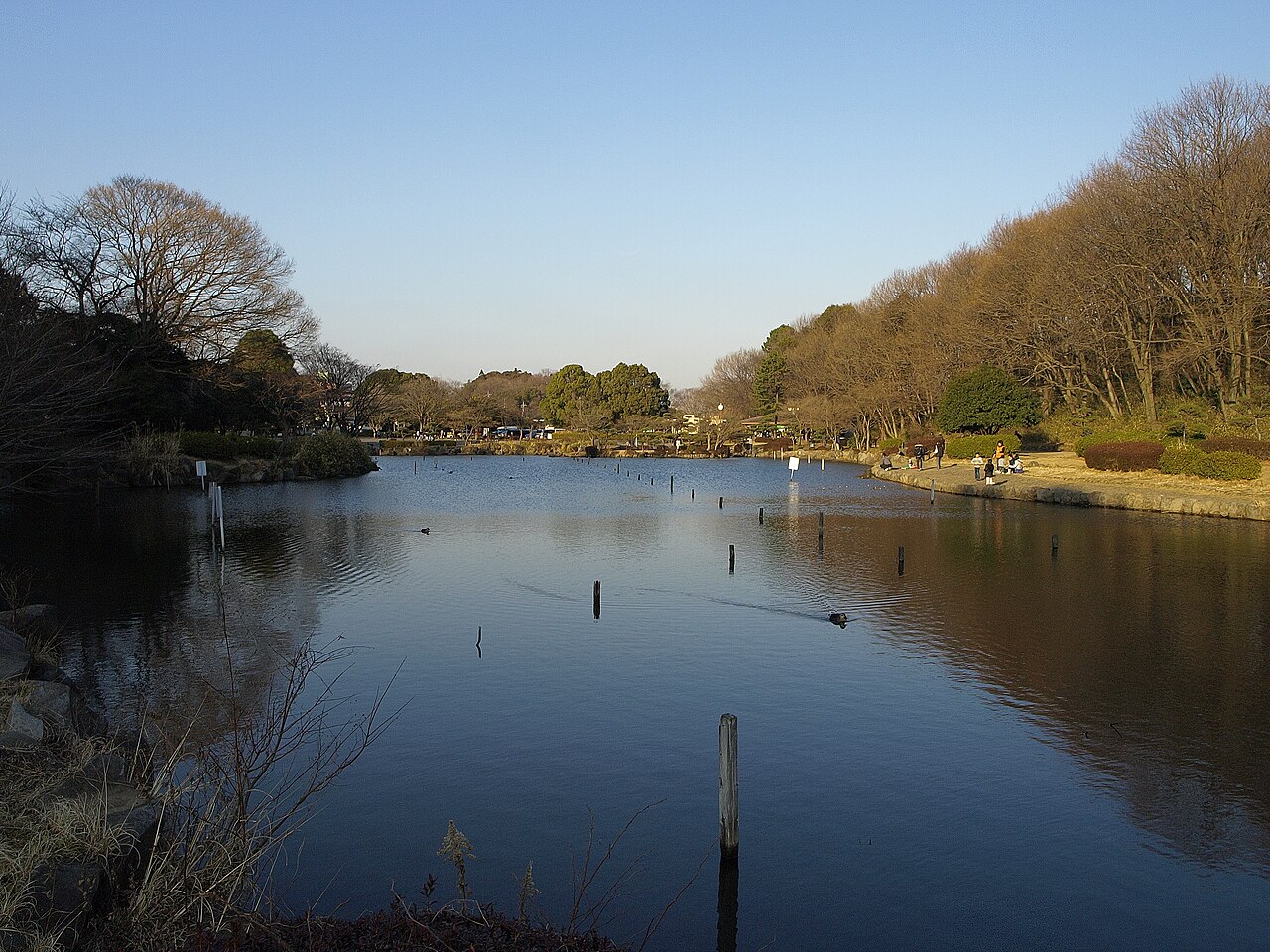 こども自然公園の写真