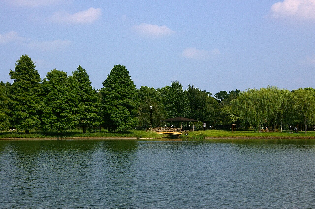 みさと公園の写真