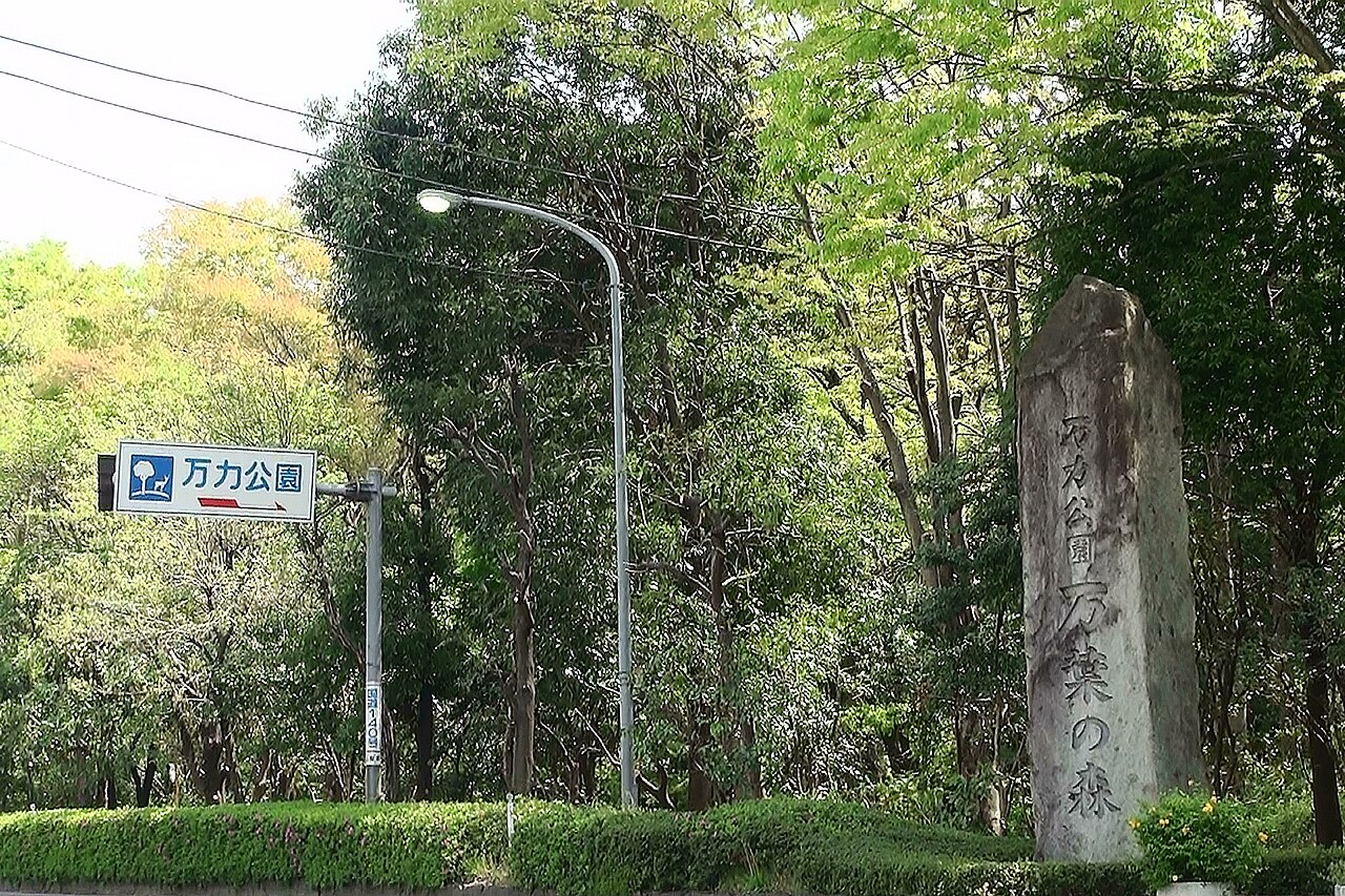 万力公園の写真