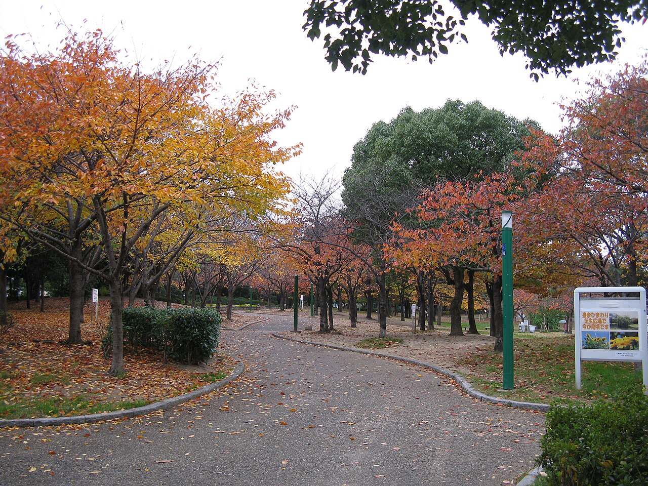 八幡屋公園の写真