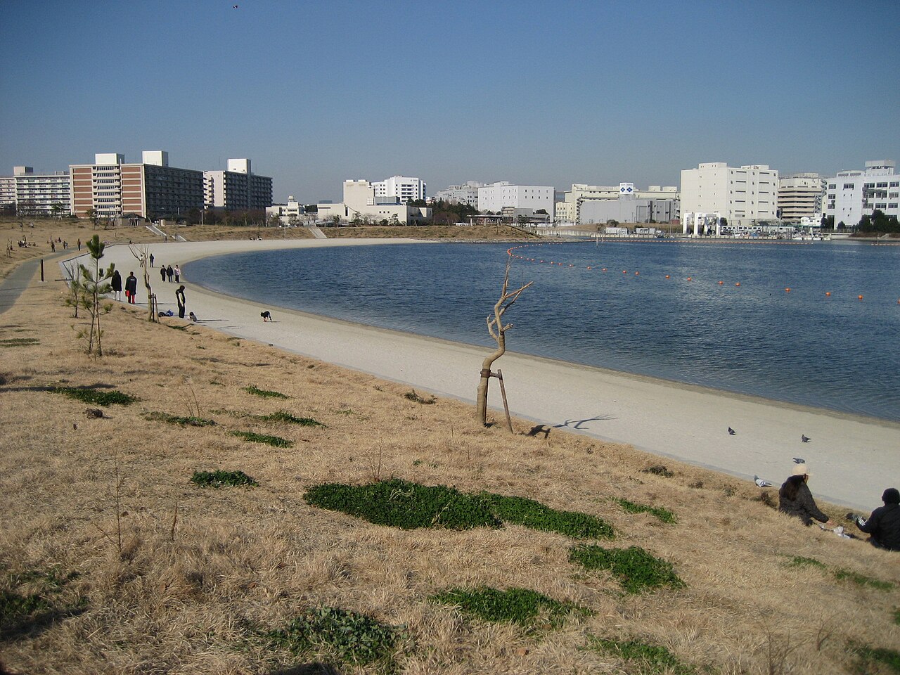 大森ふるさとの浜辺公園の写真
