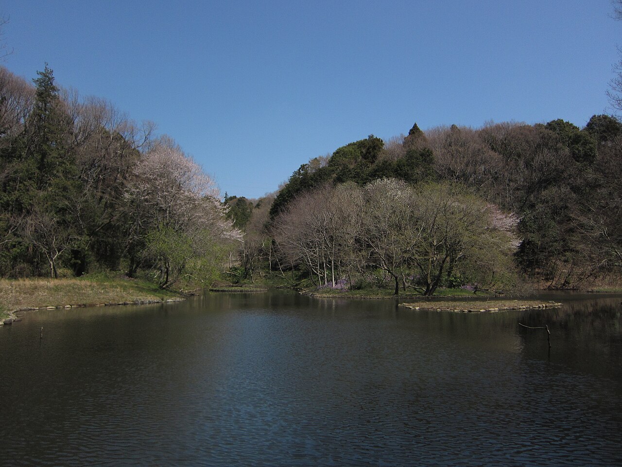 座間谷戸山公園の写真