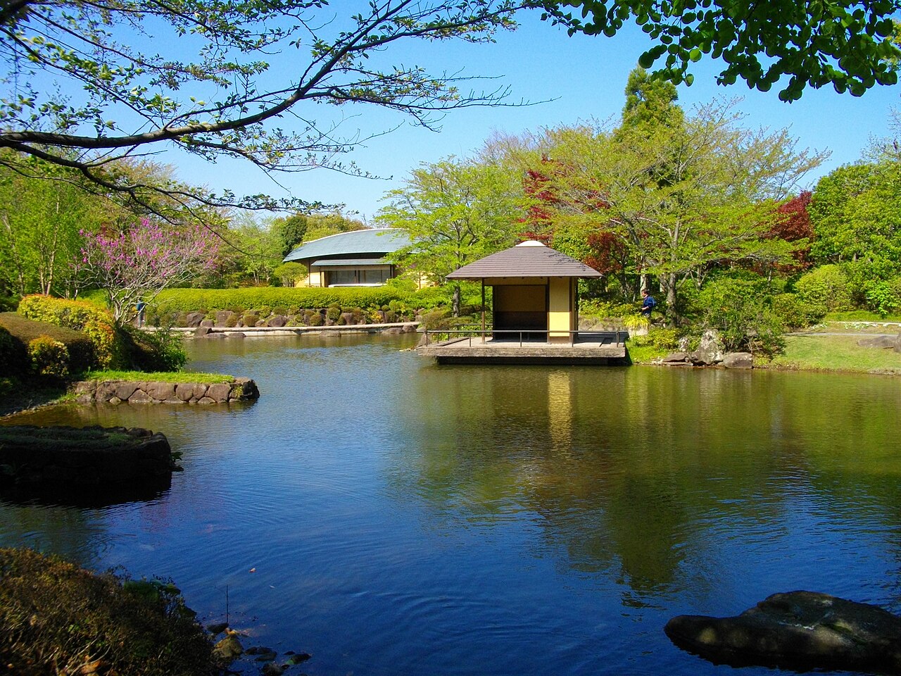 柏の葉公園の写真