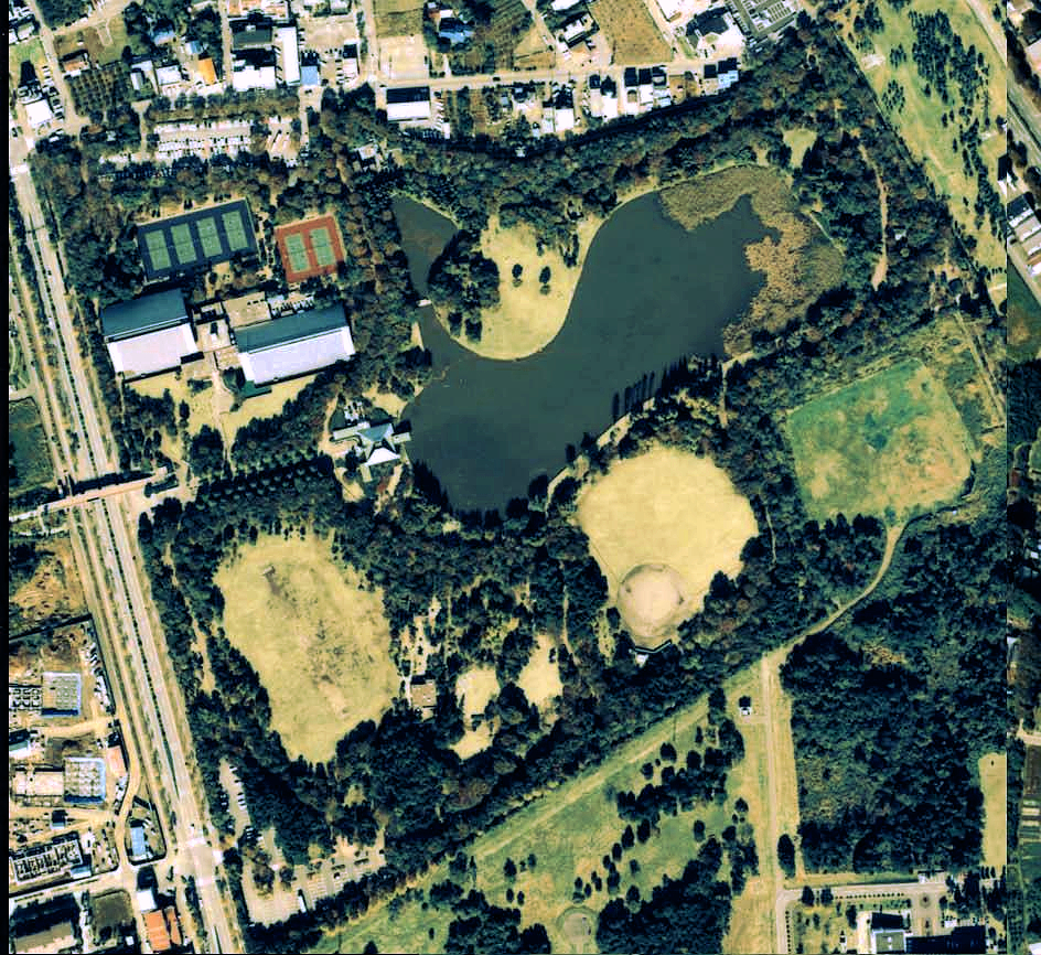 洞峰公園の写真