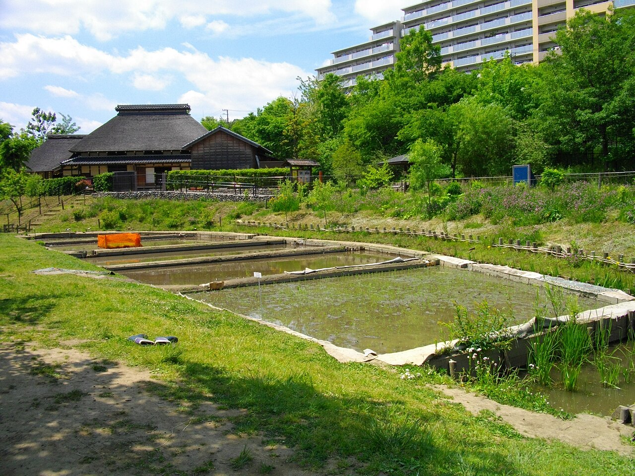 赤羽自然観察公園の写真