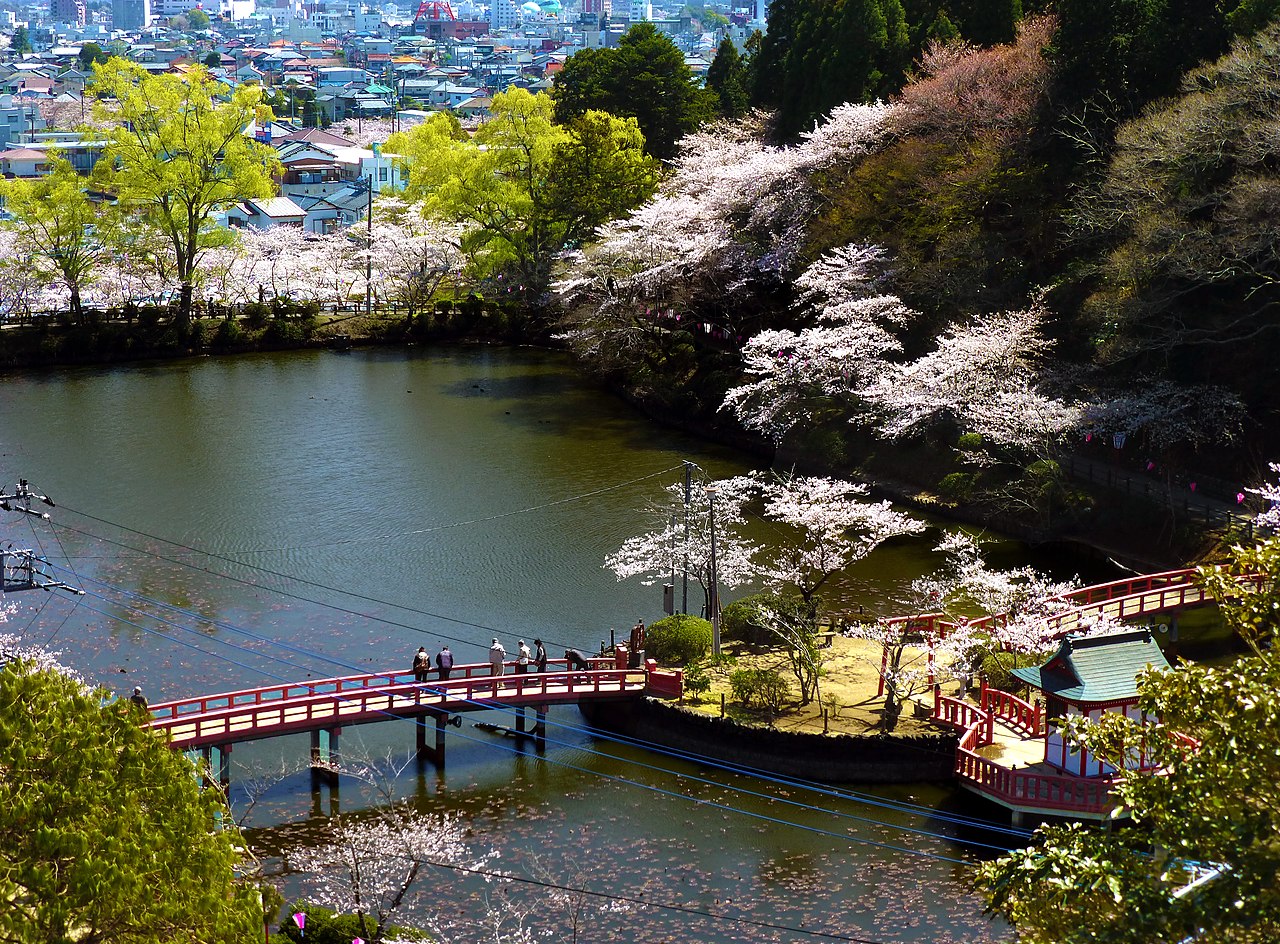 茂原公園の写真