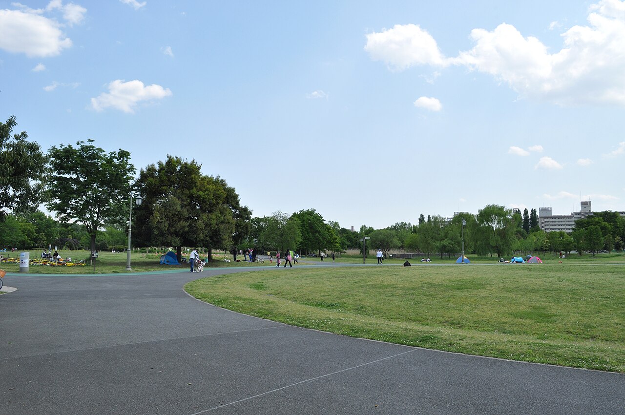 大宮公園の写真