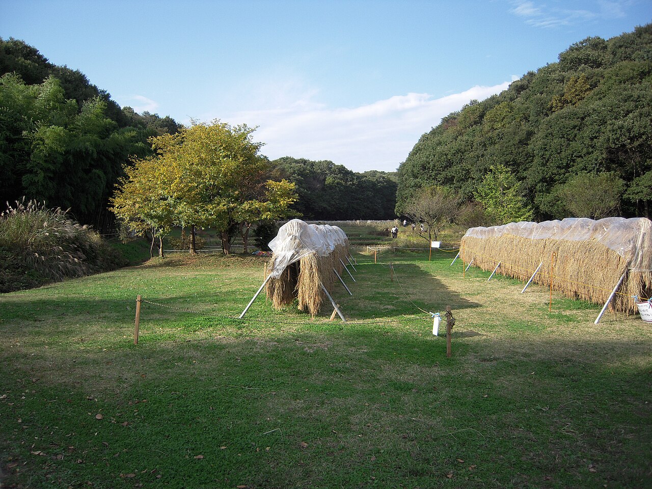 野山北・六道山公園の写真