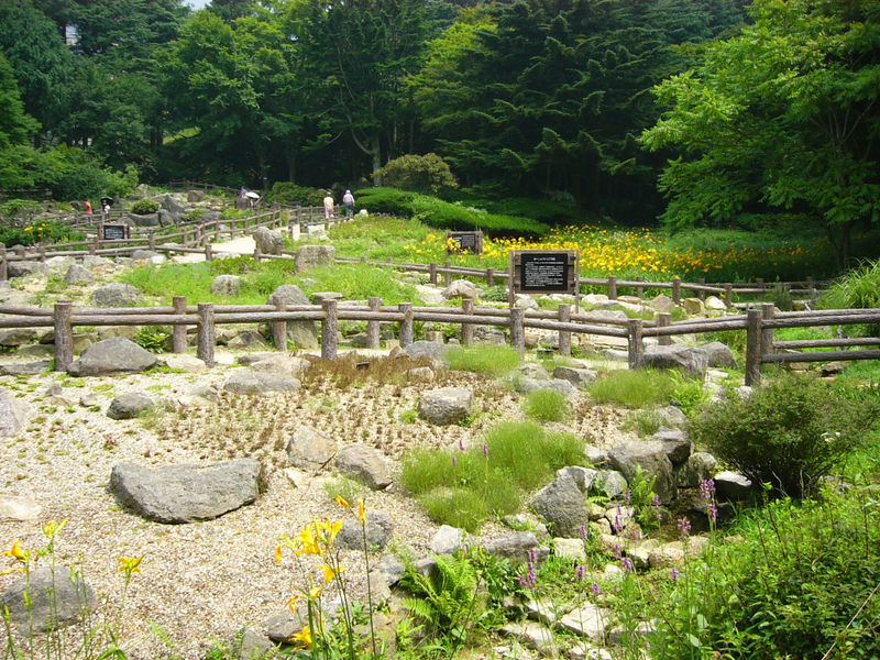 六甲高山植物園の写真