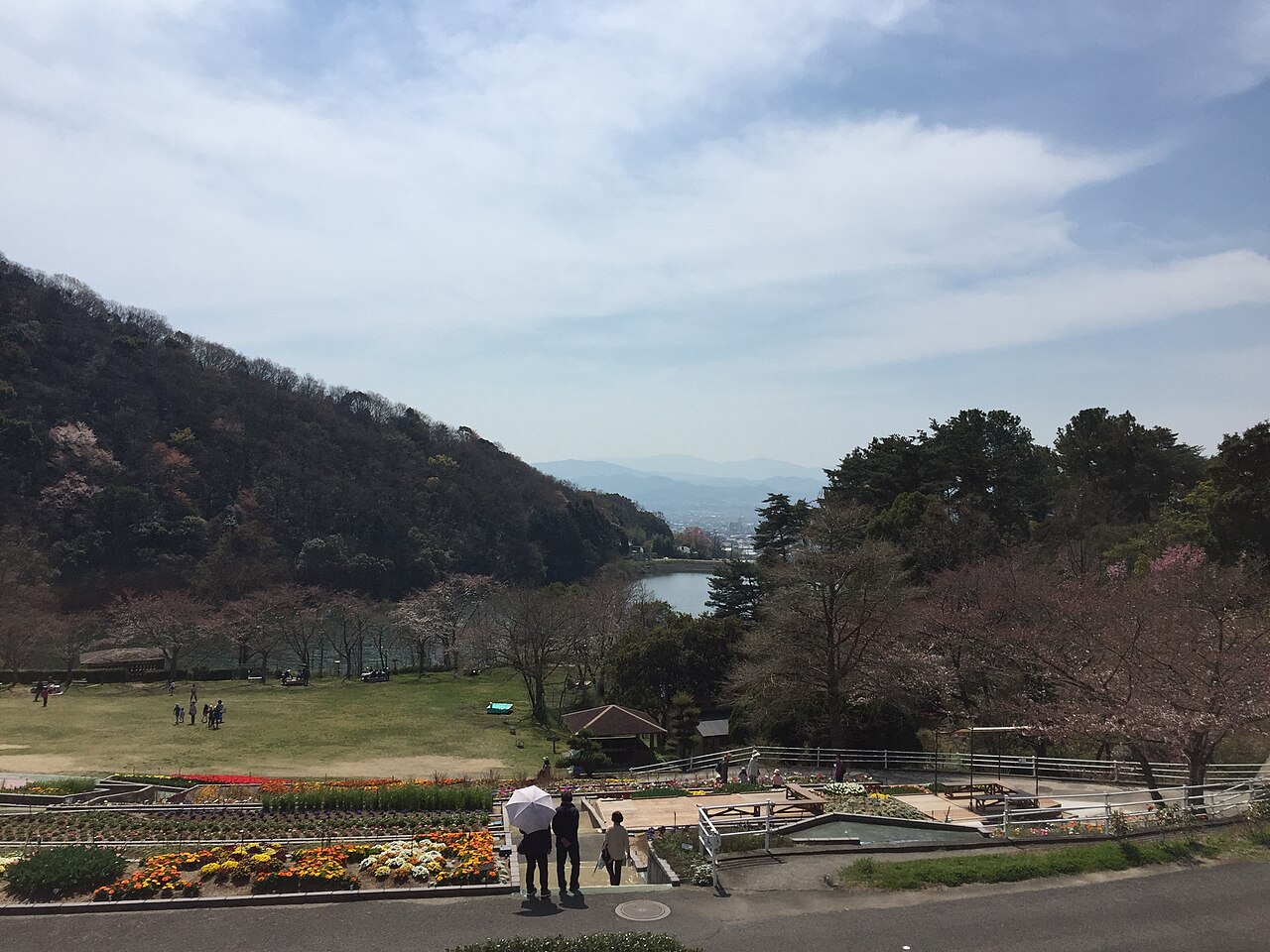 和歌山県植物公園緑花センターの写真