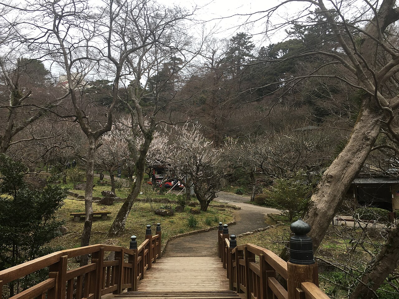 熱海梅園の写真