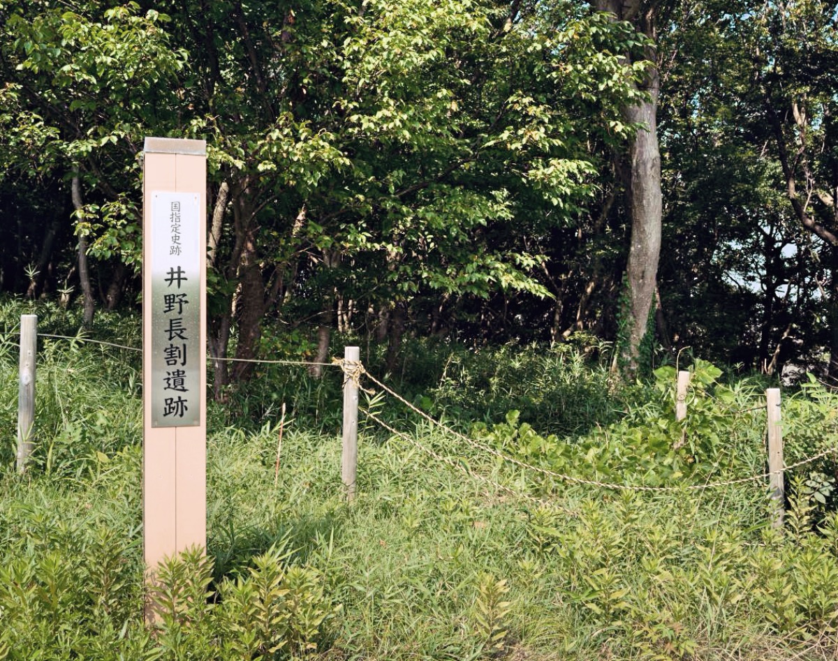 井野長割遺跡の写真