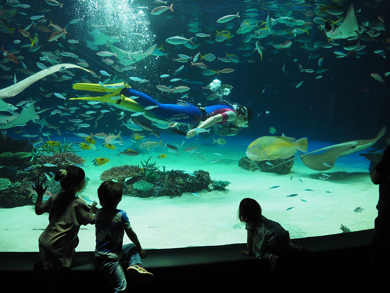 サンシャイン水族館の写真