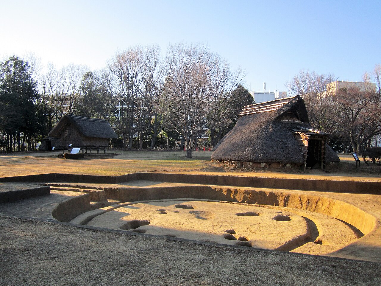 大塚・歳勝土遺跡の写真