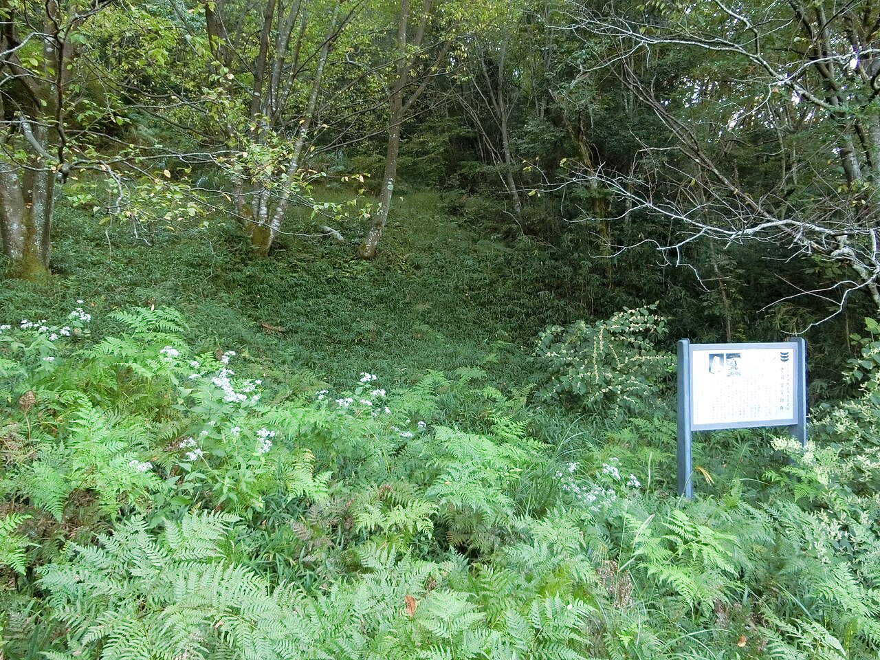 老洞・朝倉須恵器窯跡の写真
