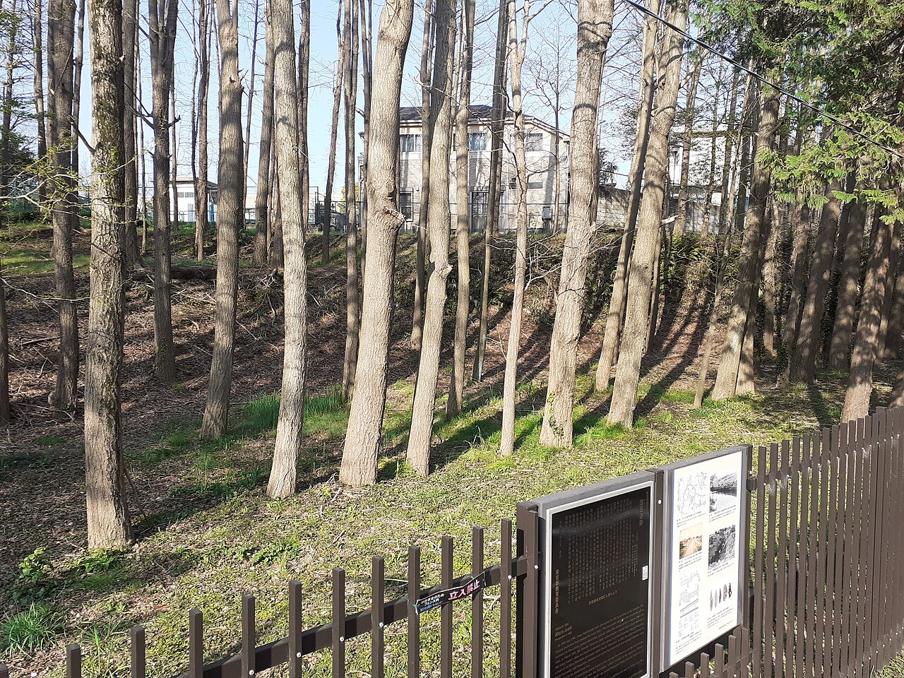 茂呂遺跡の写真