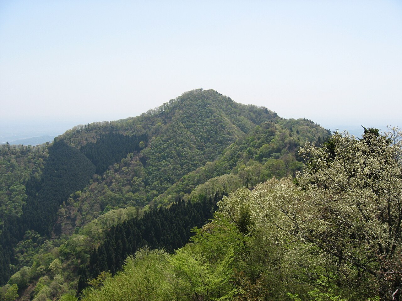 仏果山の写真