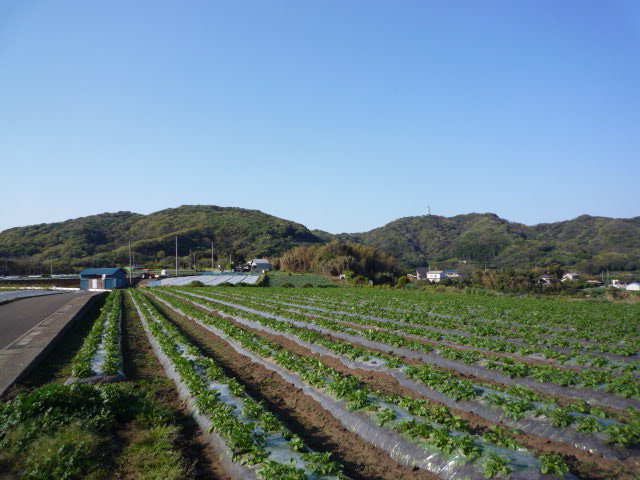 武山の写真