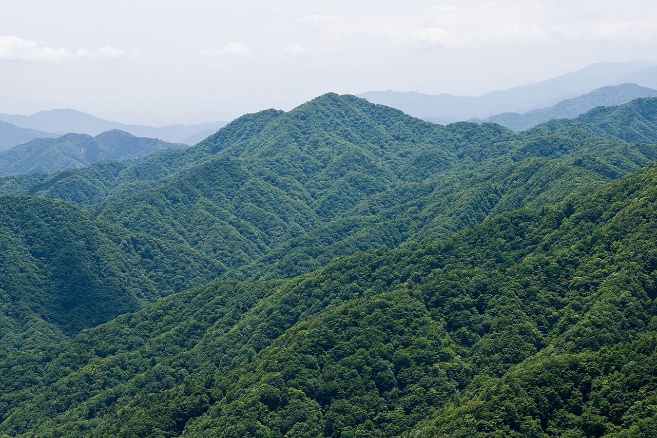 畦ヶ丸の写真