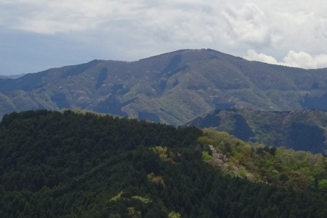 棒ノ折山の写真