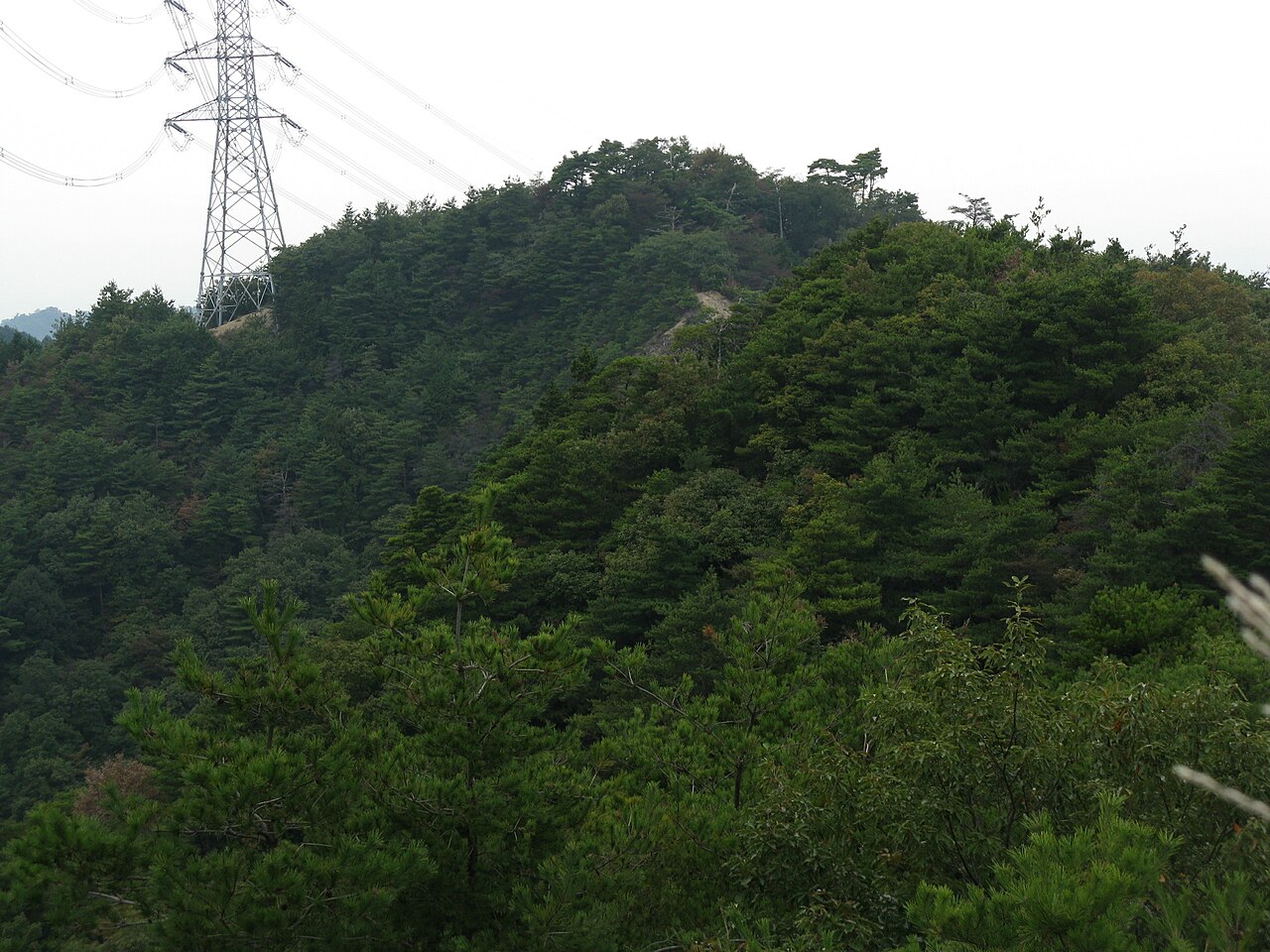 一徳防山の写真