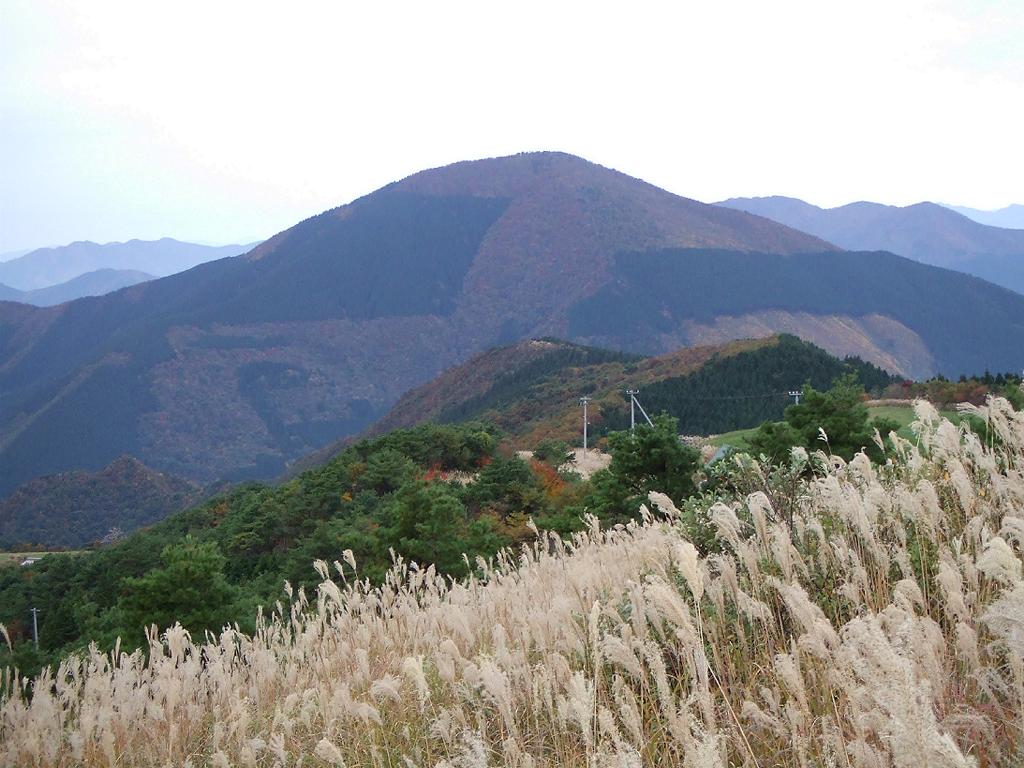 中津山の写真
