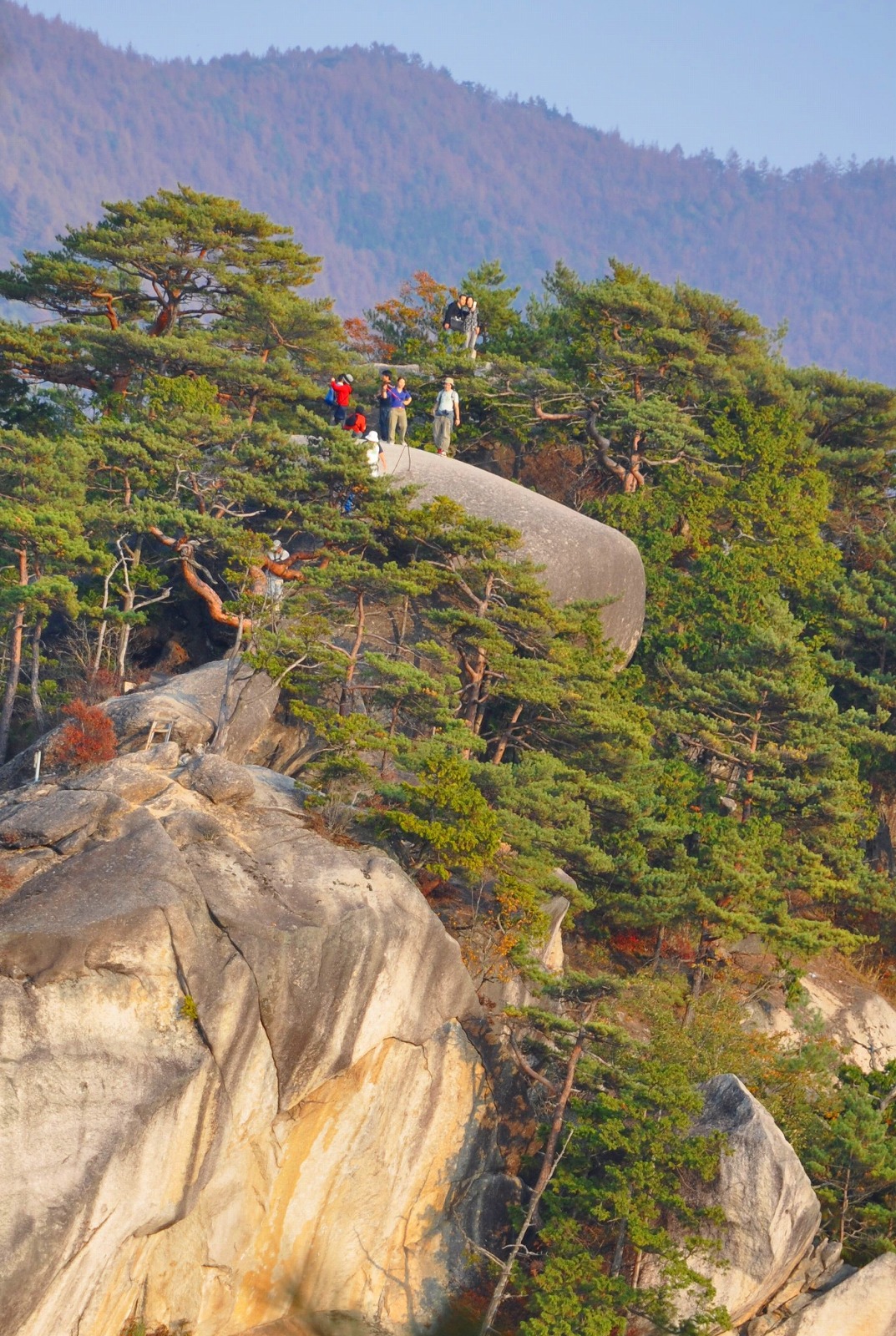 弥三郎岳の写真