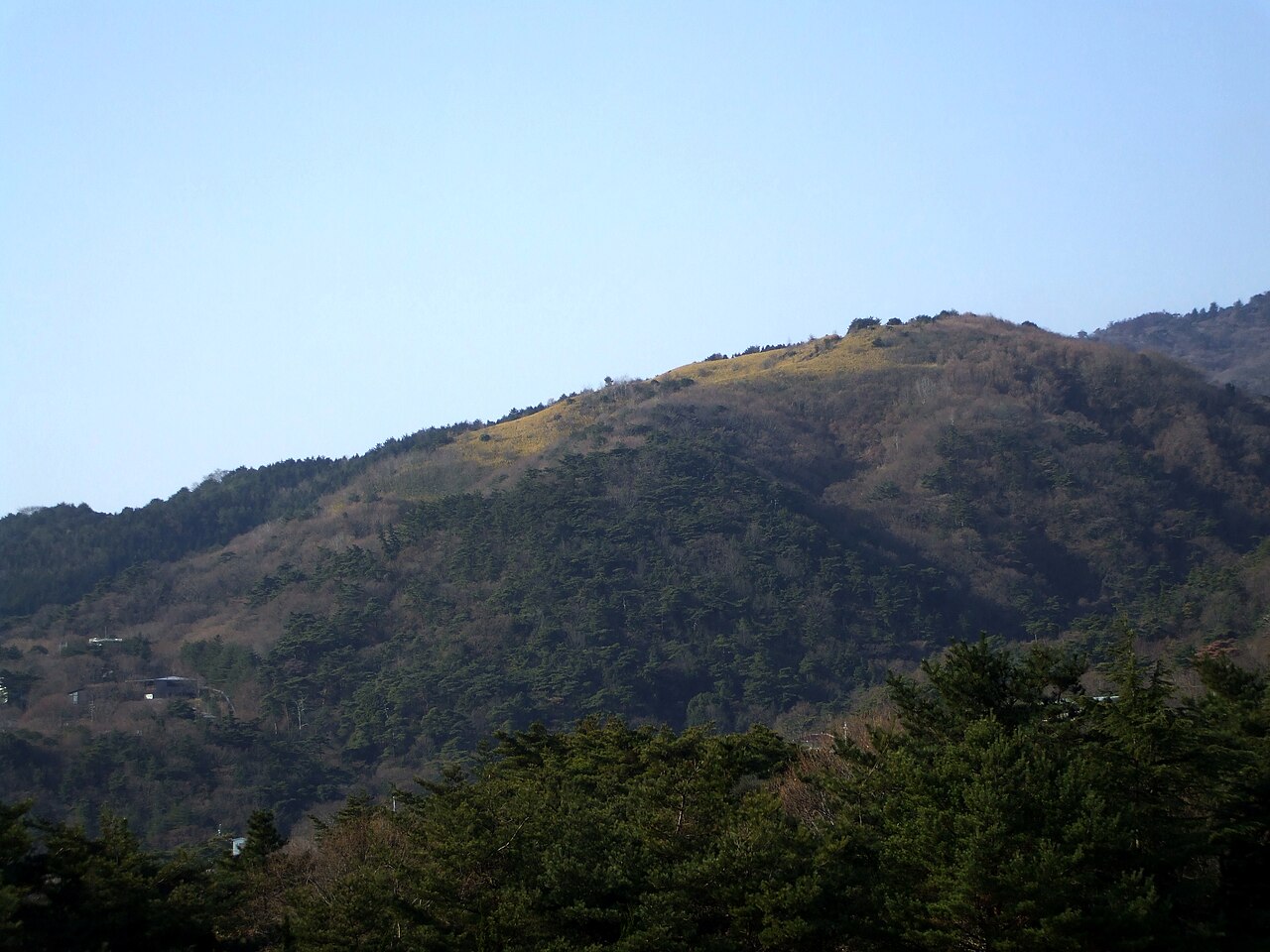 東お多福山の写真