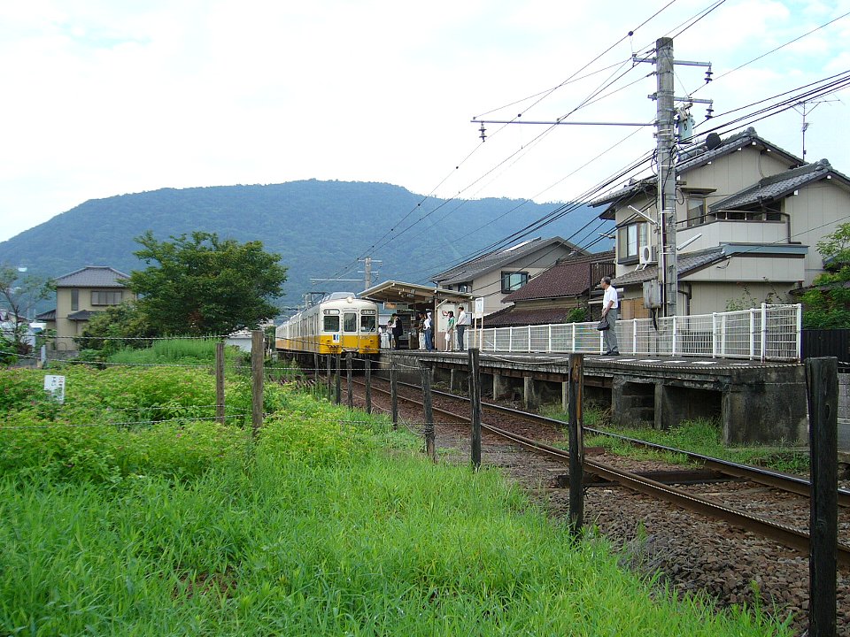 琴平山の写真
