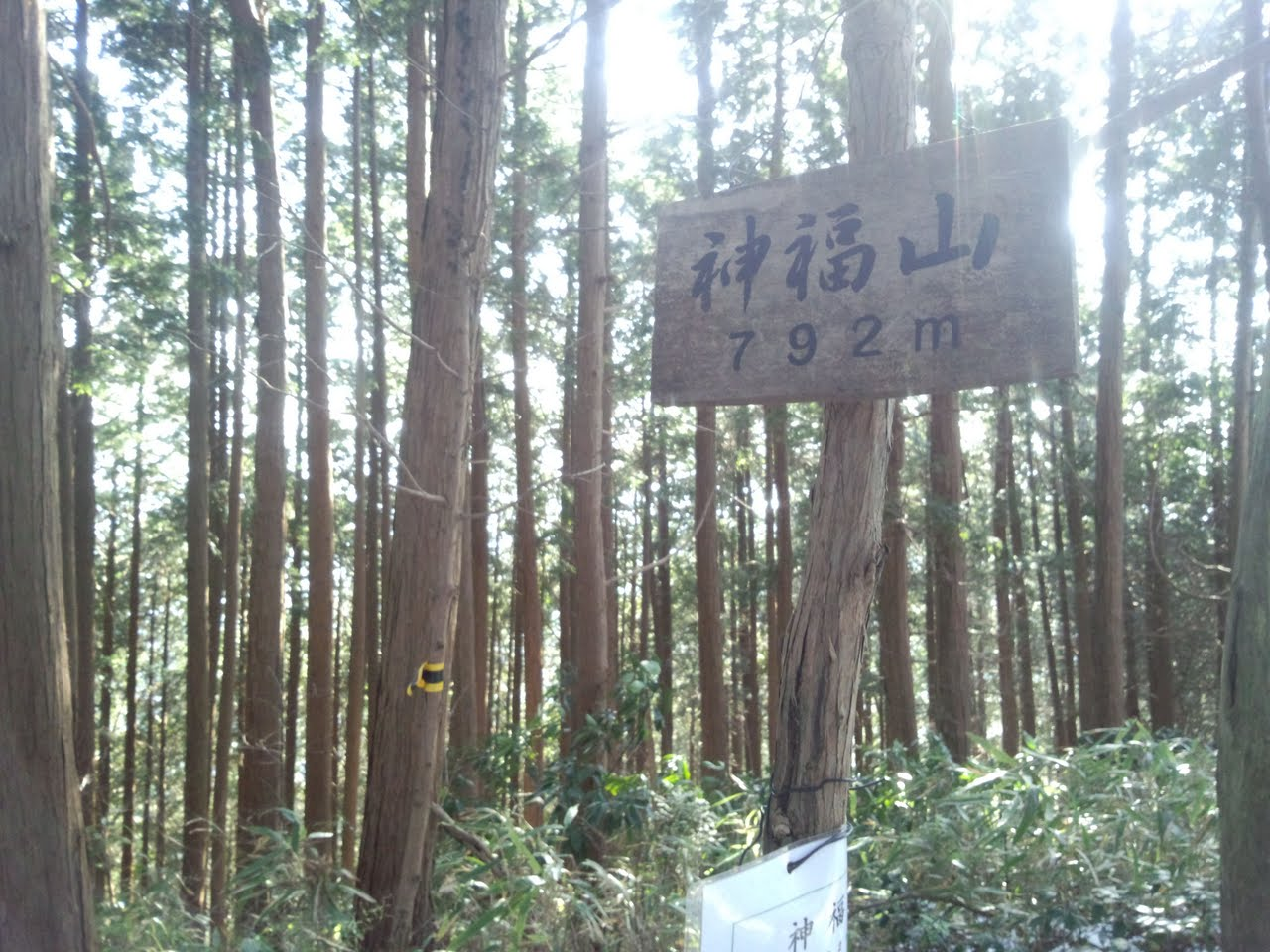 神福山の写真