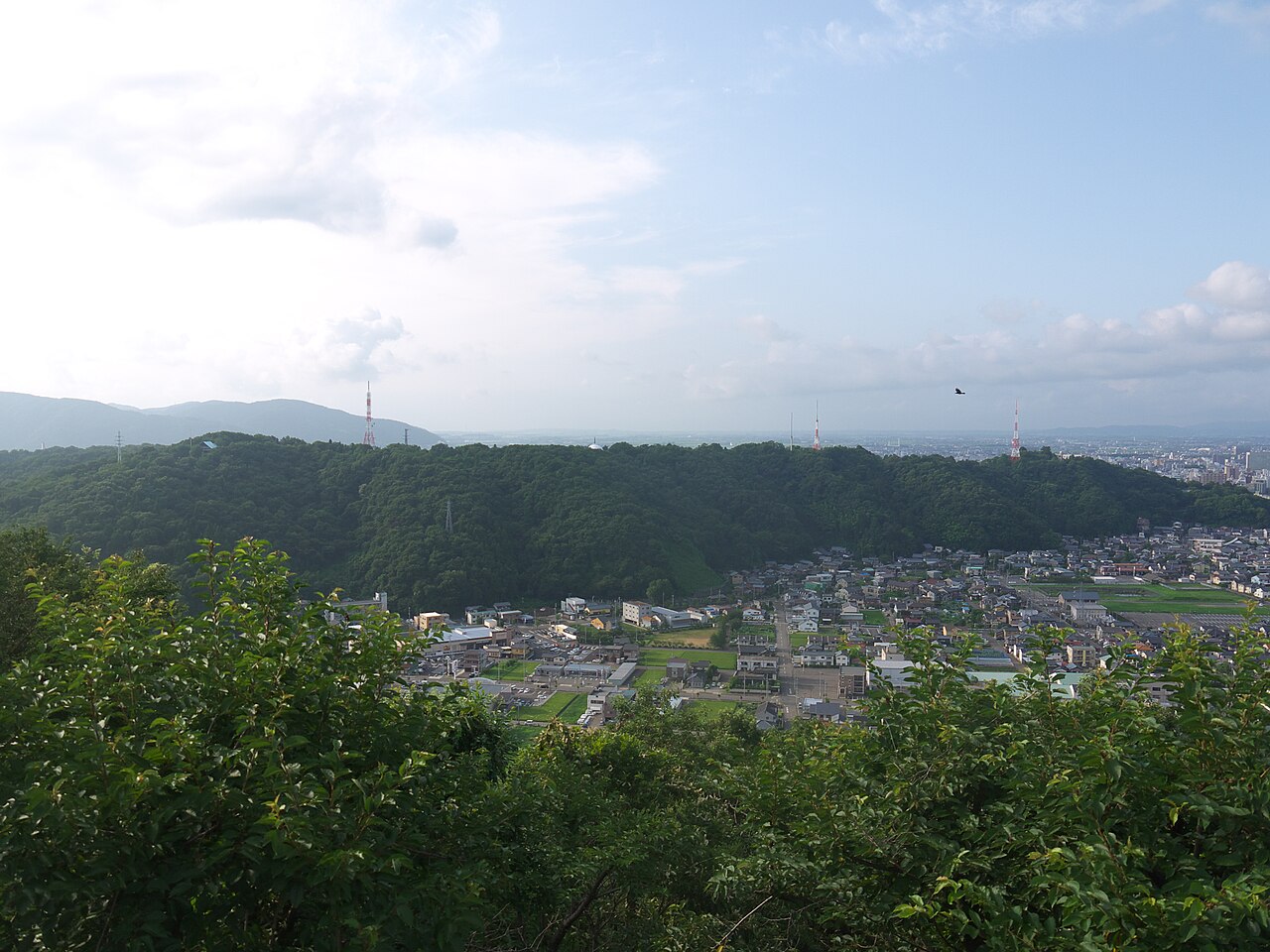 足羽山の写真