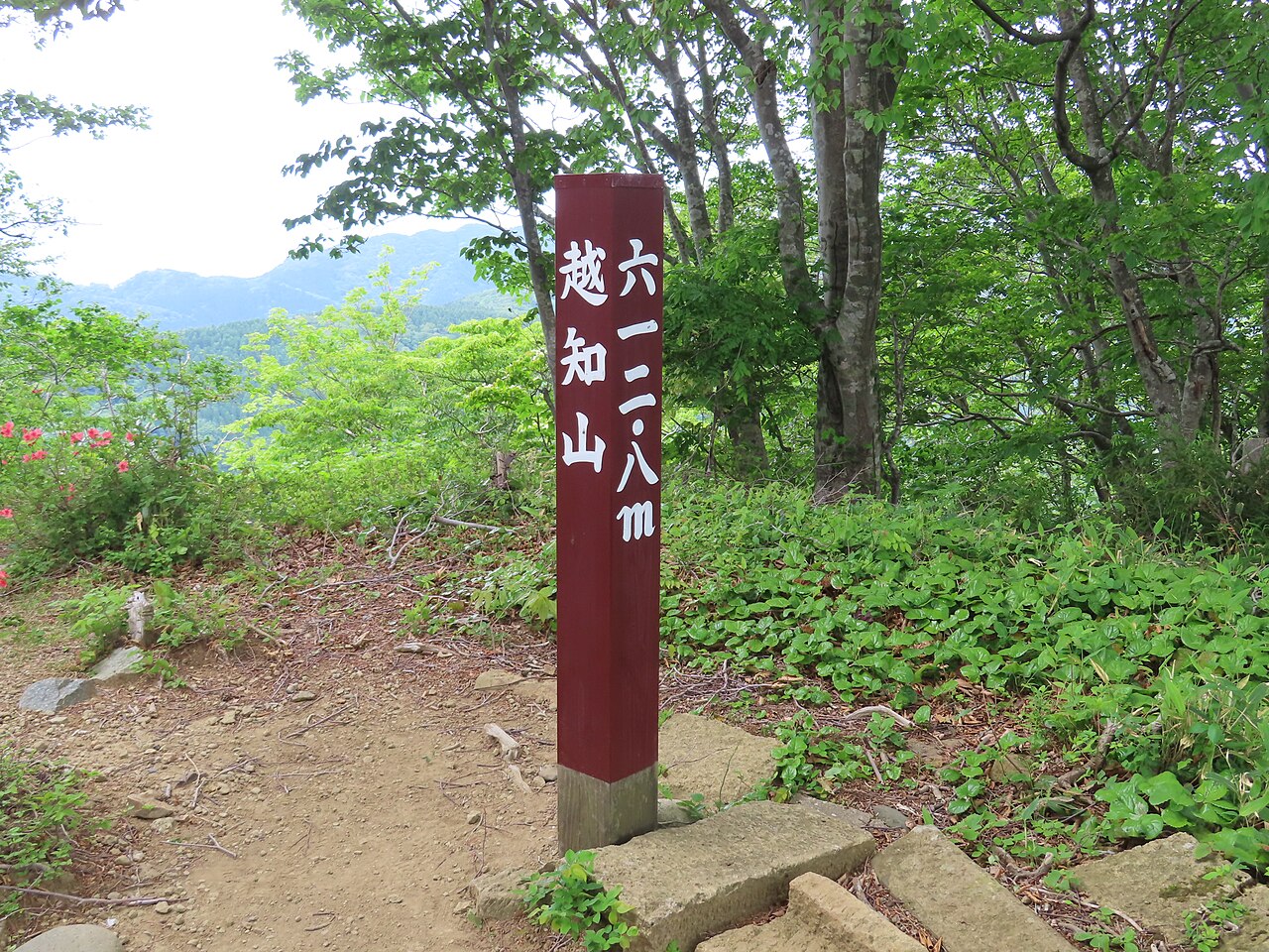 越知山の写真