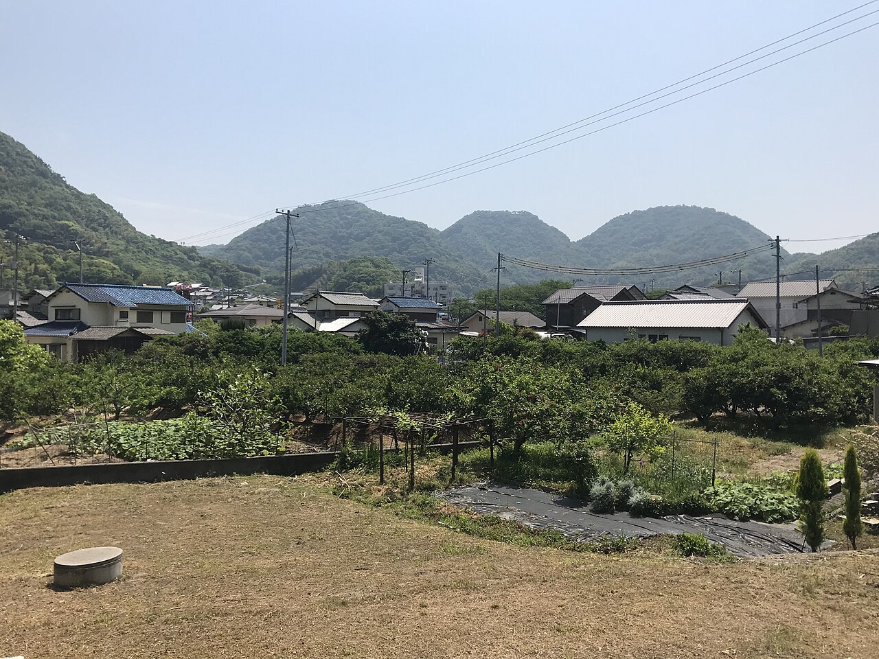 青影山の写真
