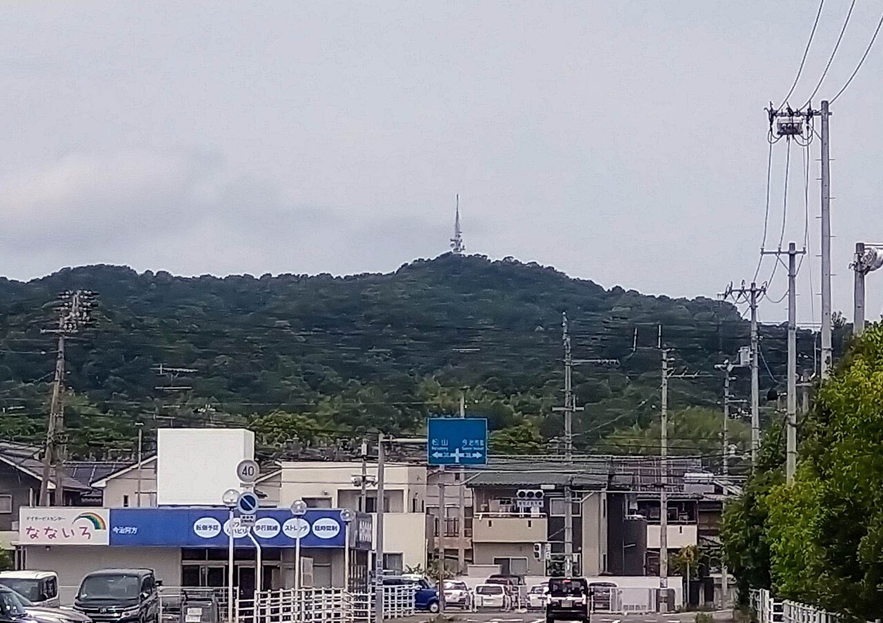 近見山の写真