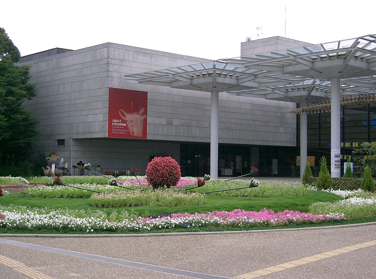 大阪市立自然史博物館の写真