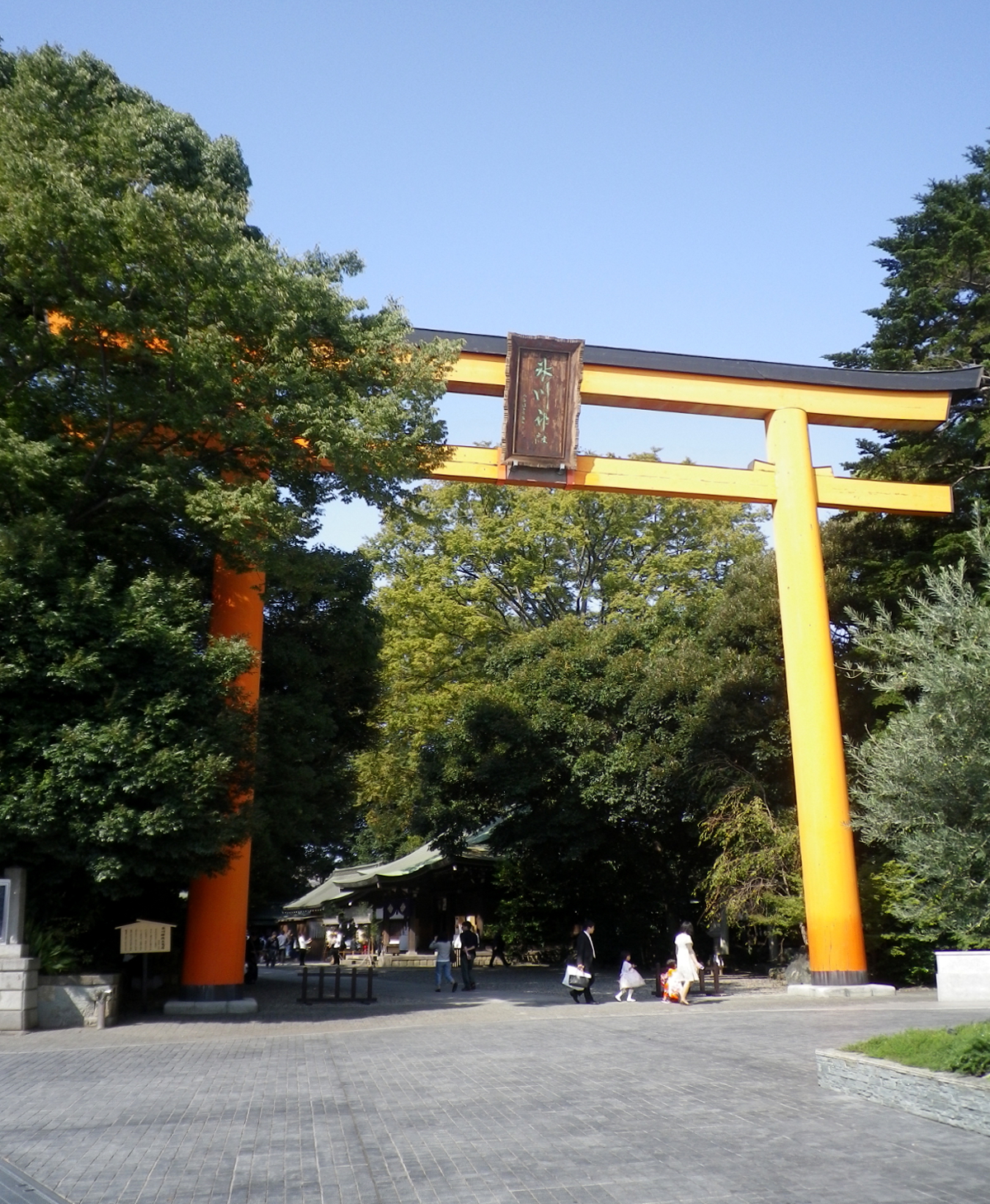 氷川神社の写真
